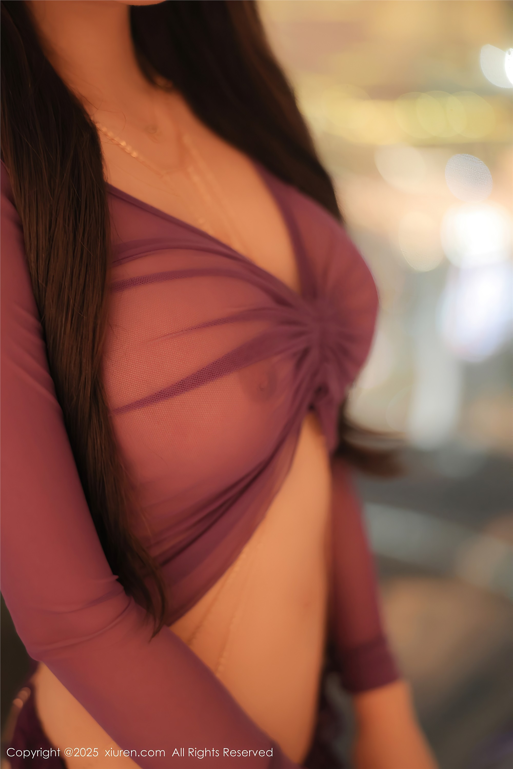 Xiuren秀人网 2025.02.13 NO.9876 媃柔rourou